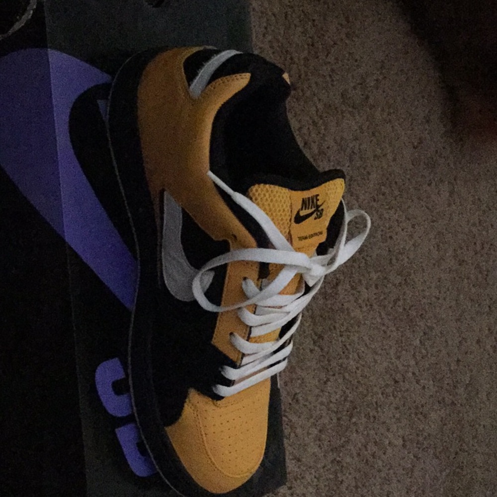 Zoom team edition NIKE SB